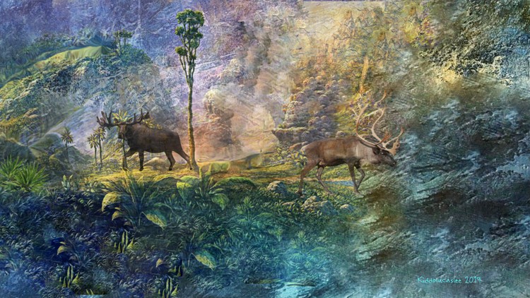 Horns and Hills * 2019  Kiddolucaslee
