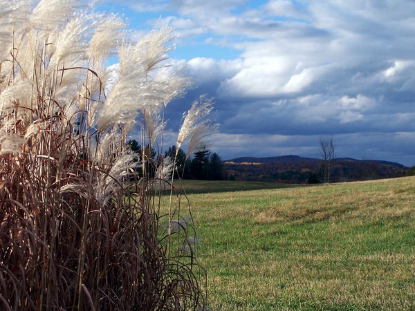 October Field