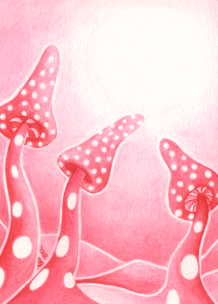 Pink Musroom Sunset