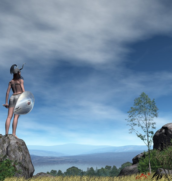The Lookout