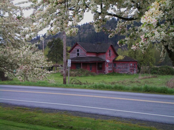 This Old House