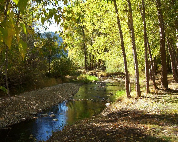 Picnic Spot
