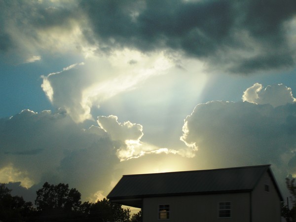 Sunshine on a Cloudy Day