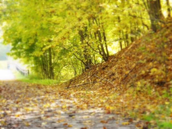 October's Path