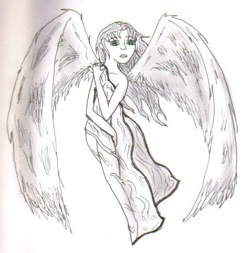 Angel's Blanket