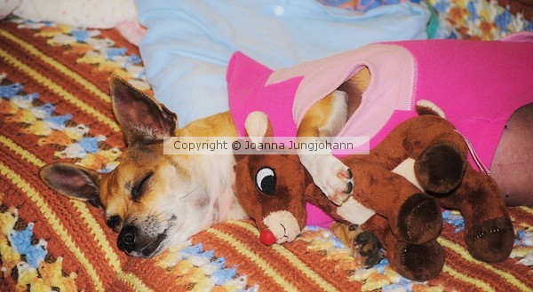 Tee Tee And Rudolph
