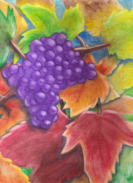 Grapes