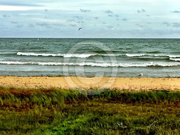 Seagull Beach
