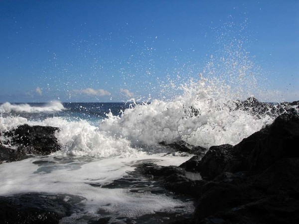 Ocean In Motion 0004