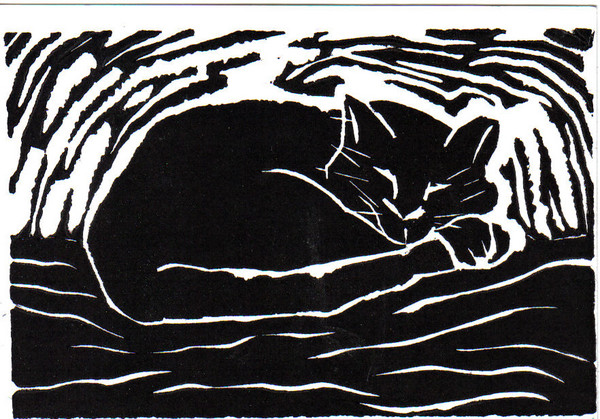 cat lino