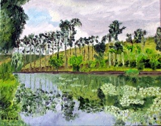 BARRAGEM DA BICA