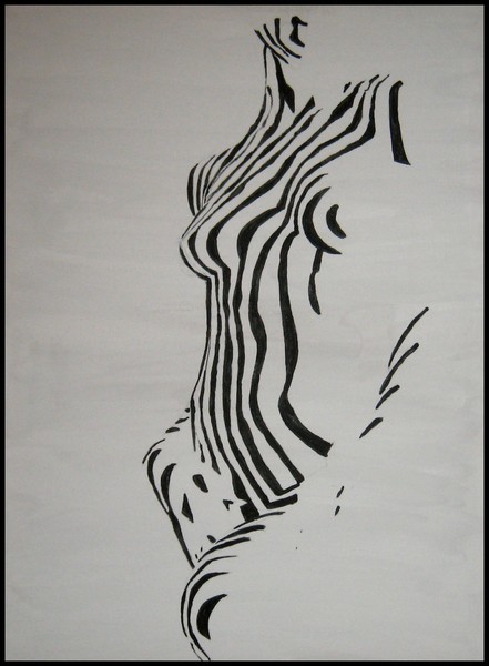 the female zebra