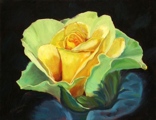 Rose:  St Patrick