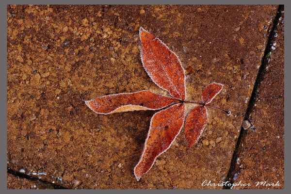 Frosty edges