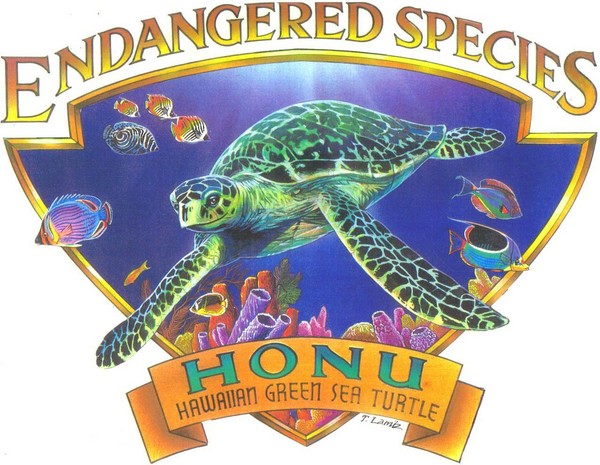 ENDANGERED SPECIES-HONU