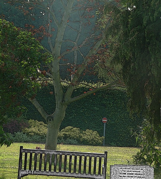 Sanctuary 