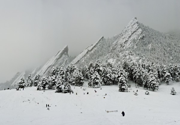 Winter Wonderland