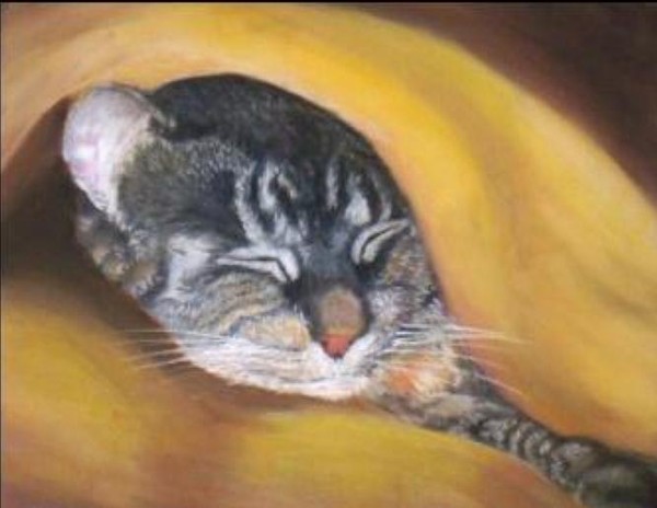 Sleeping Luna