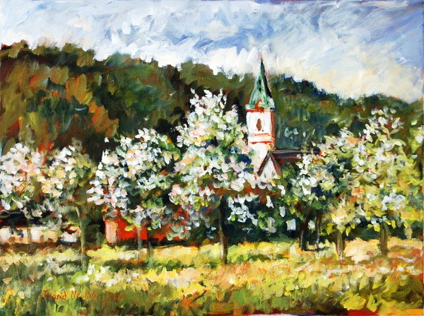 Apple Blossoms