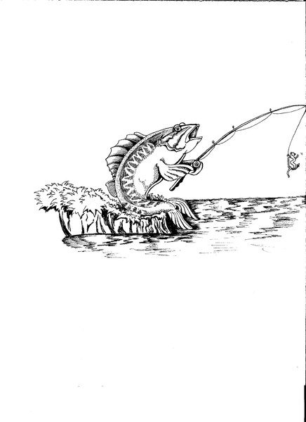 Fishing