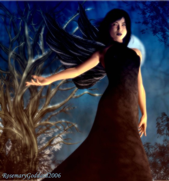 Night Fairy