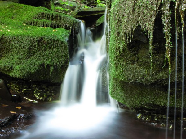 Peaceful Falls