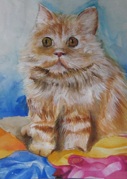 cat on the fabric