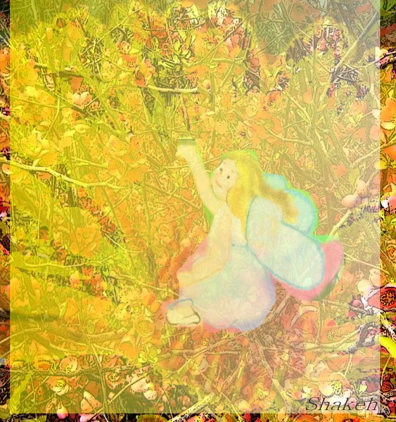 hidden fairy