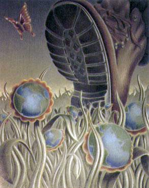 Boot & Butterfly
