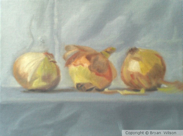 onion still life