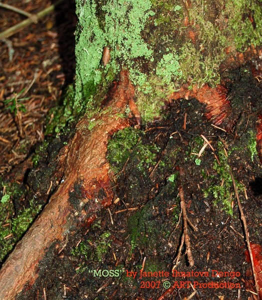 Moss