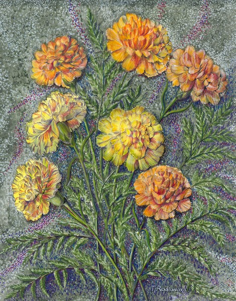 Carnations