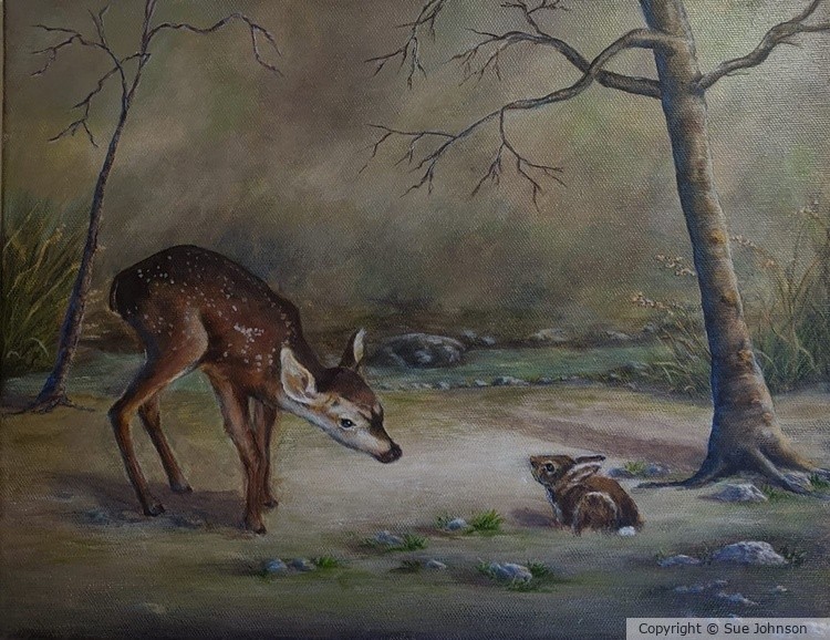 Nature’s Innocence
