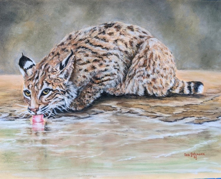 Keeping Hydrated