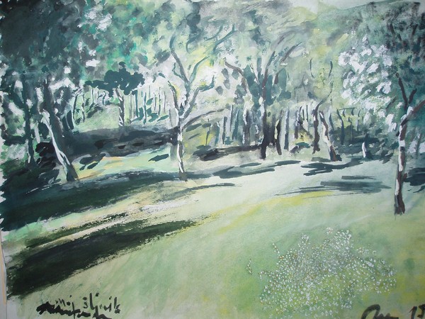 my garden in summer shadows