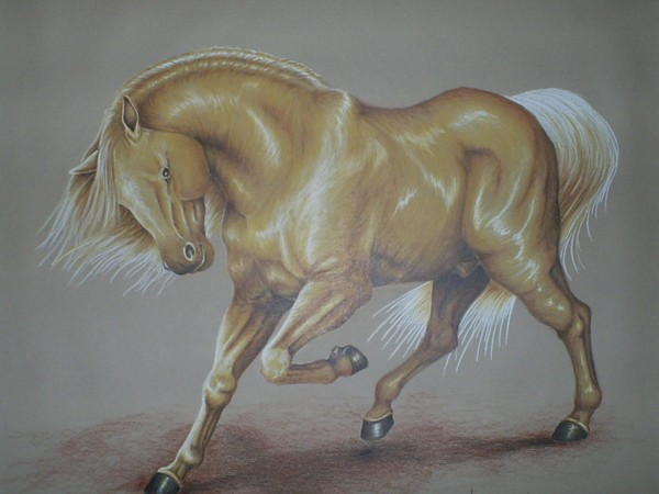 Golden Majsty