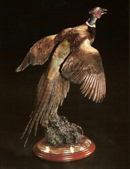 Ring-neck Pheasant