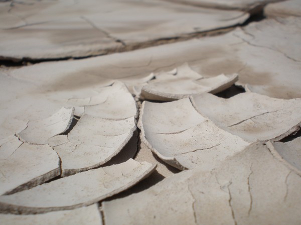 Tortilla Chips