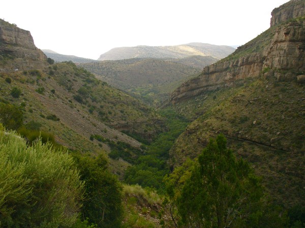 Canyon View