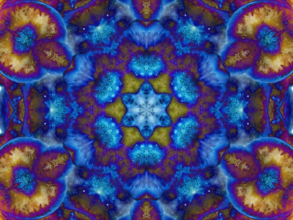 Mushrooms