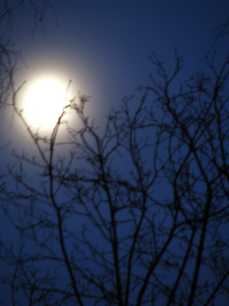 spring full moon-in Lohja Finland-2008