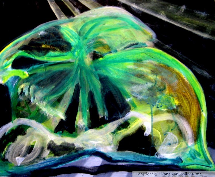 Plastic /bag/