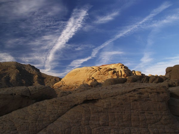 Desert Landscape