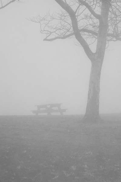 MORNING FOG