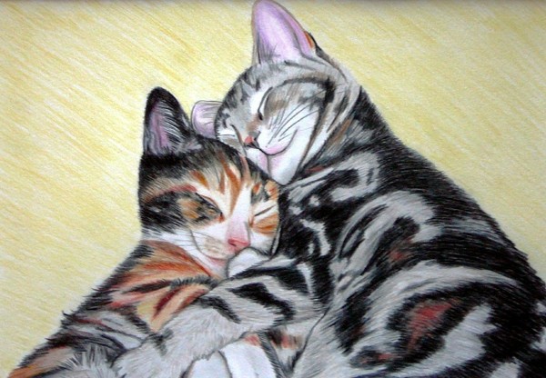 Two Sleeping Cats