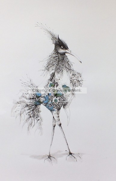 Colorbird
