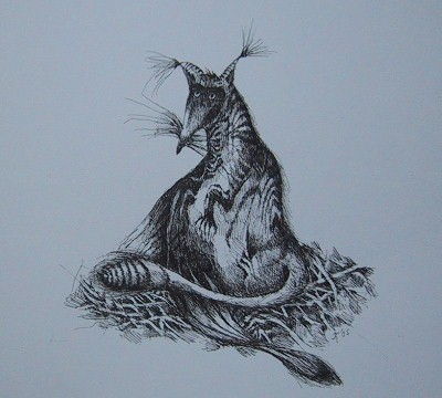 Little Wolf just out of the egg...