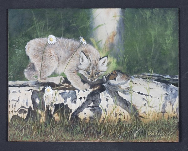 lynx and log