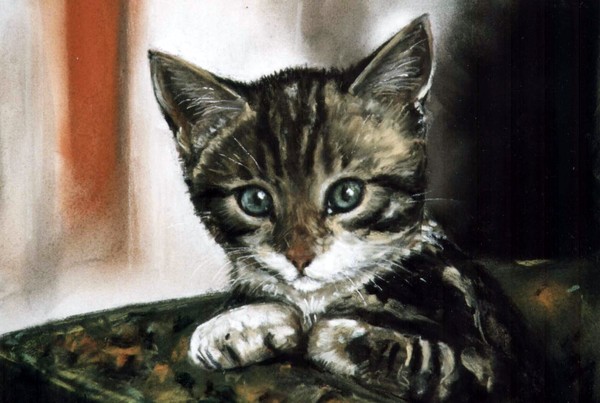 Jenny Kitten