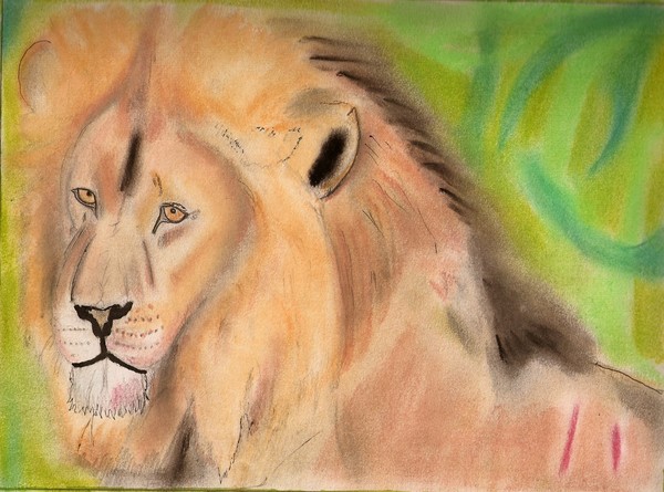 lion
